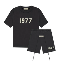 1977 Iron